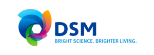 dsm-logo