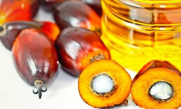 biolineintegratori - glicidolo e olio di palma