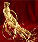 ginseng