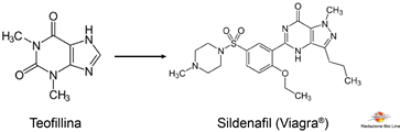 Fig.1 – Formula di struttura della teofillina e del sildenafil - Viagra