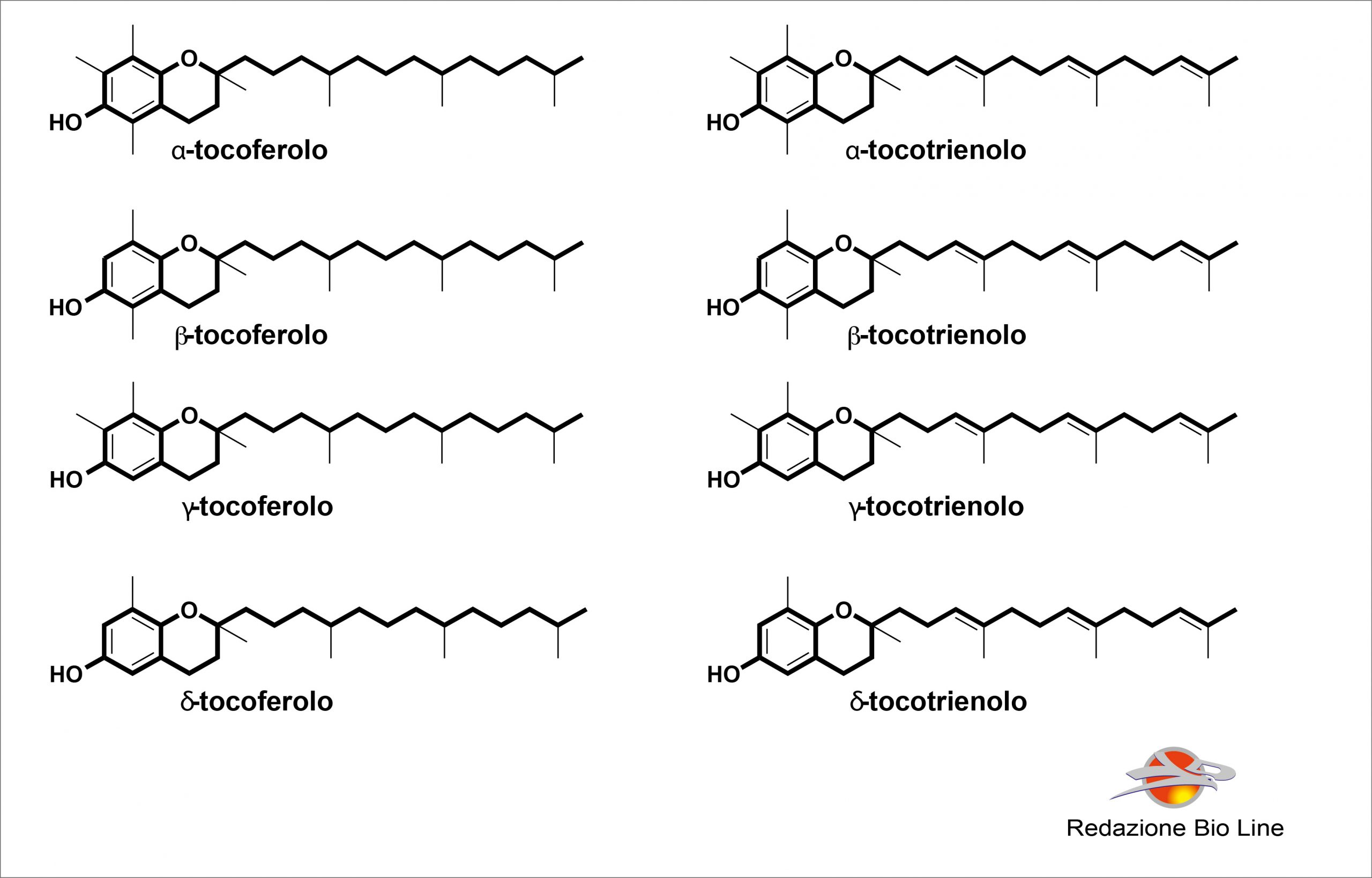 Bioline Integratori - Vitamina E