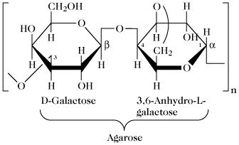 Struttura chimica dell'agar agar