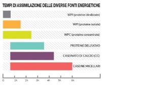 valore biologico proteine