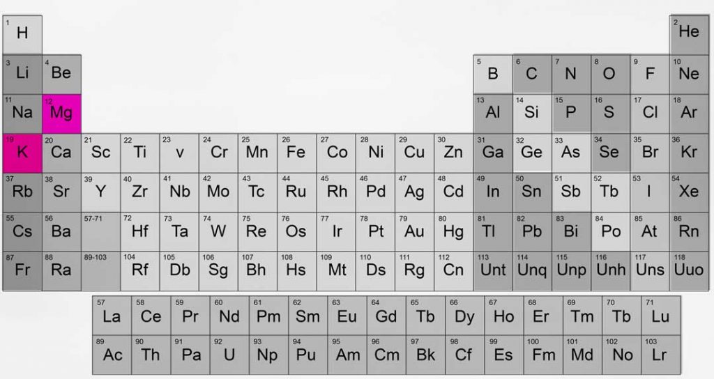 Magnesio e potassio