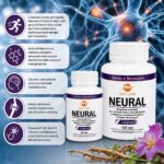 Neural - Integratore di Carnitina acetile, Acido alfa lipoico, Citicolina, Artiglio del diavolo e Vitamine B - immagine 2