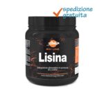 Lisina - Integratore in polvere di L-lisina - Sostanza pura senza eccipienti